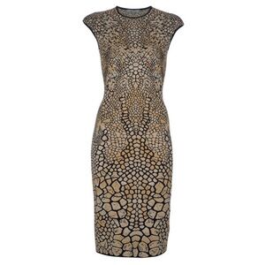 Alexander McQueen
Dragonfly Printed Knit Bodycon
Dress